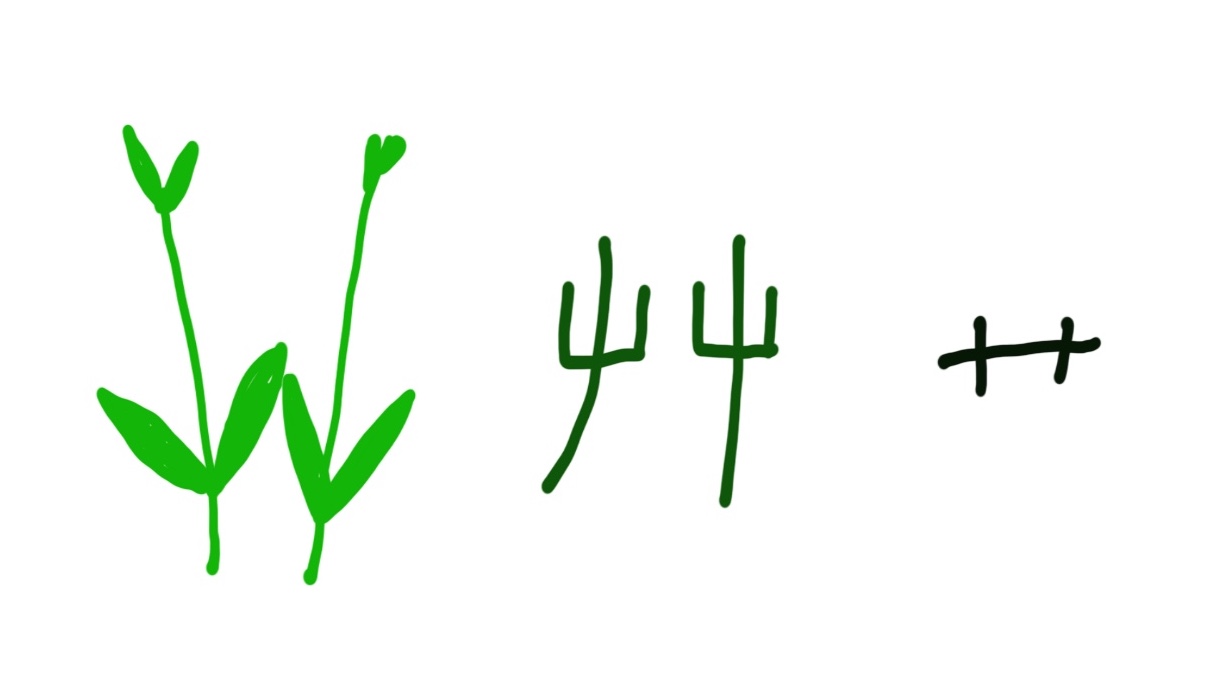 Chinese radicals