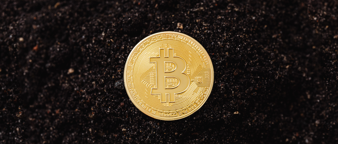 Decoding change: Is Bitcoin a digital sanctuary or a mirage?